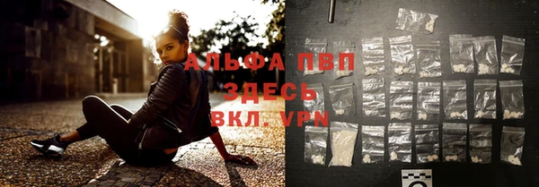 эйфоретик Баксан