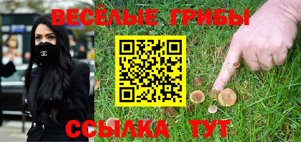 Галлюциногенные грибы ЛСД  Галлюциногенные грибы Psilocybine cubensis  Вход с VPN  Балашов 